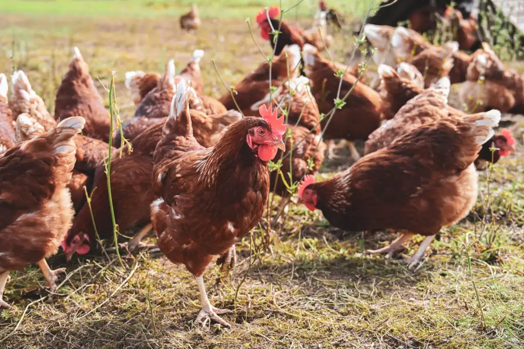 崧霏贸易2024年智能家电产品线升级:生活小电技术优势解析