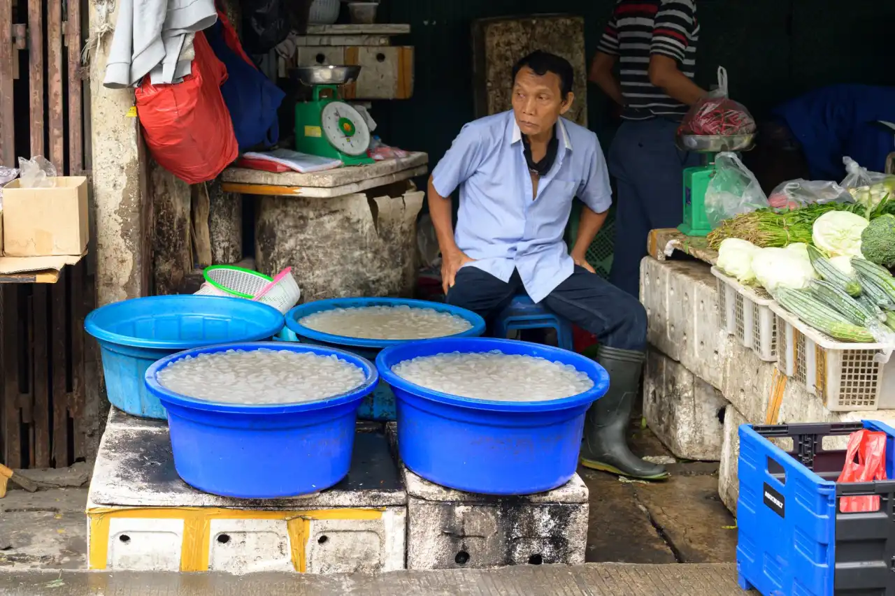 上海崧霏智能家电系列产品技术优势及应用场景解析