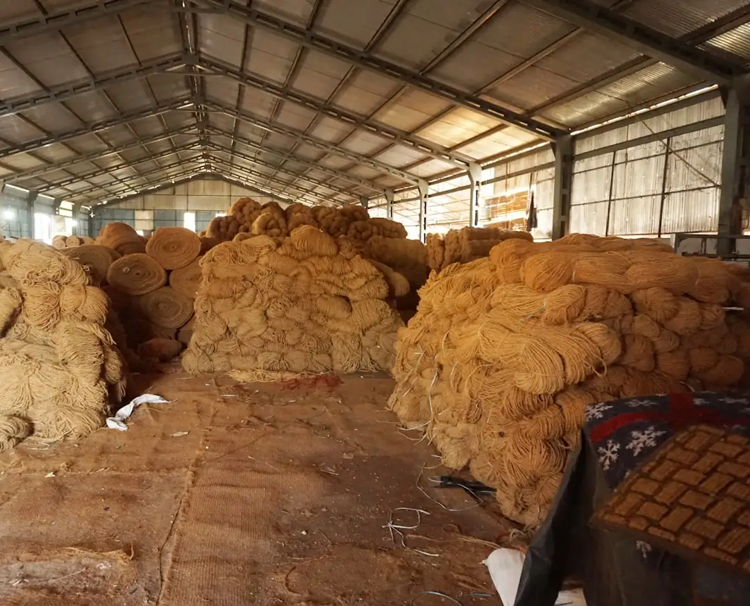 厨房电器选购指南：电饭锅与电磁炉对比分析及适用场景