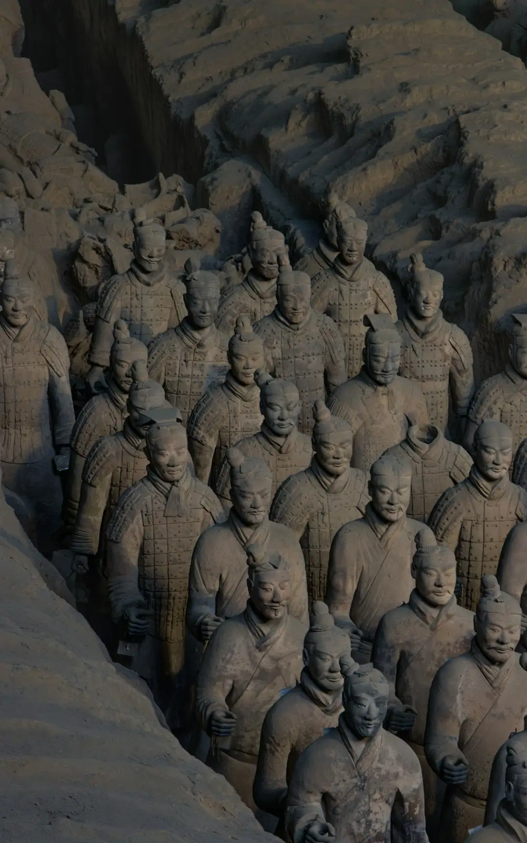 2024年上海家庭租房场景电饭锅电磁炉选购对比指南